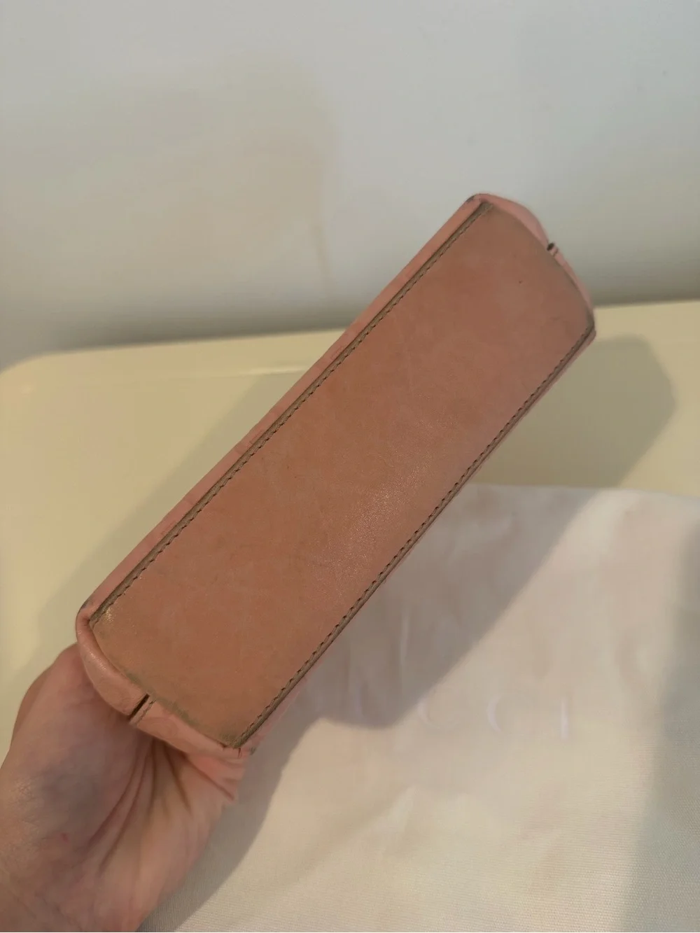 Gucci cosmetic pouch